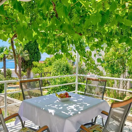 Maja * 크리크베니카