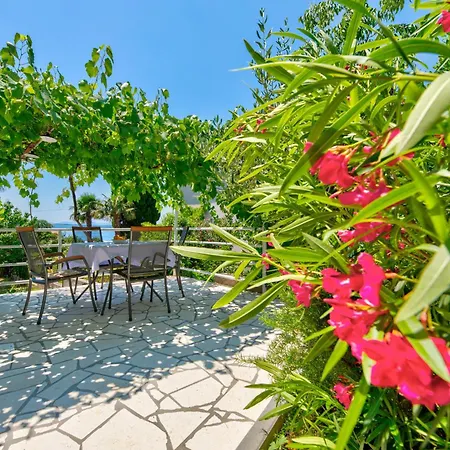 Maja * 크리크베니카